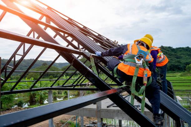 Best Roof Gutter Cleaning  in Churchill, OH